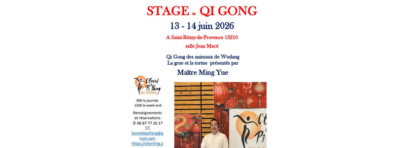 Stage de Qi gong avec un Maître chinois