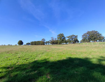 Terrain - 550 000 m²