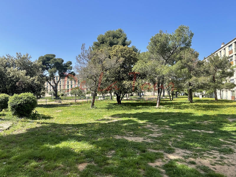 Appartement - 65 m² - 4 pièces