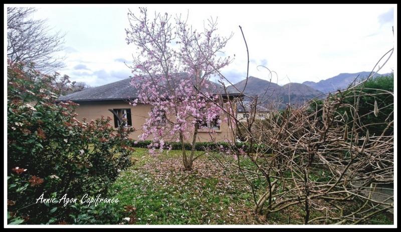 Maison - 160 m² - 5 pièces