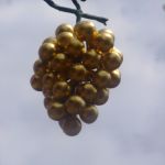 La Grappe d'Or