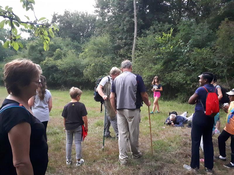 Initiation traces et indices de présence à la Réserve naturelle nationale de l’île de Rhinau