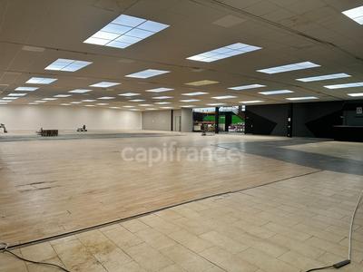 Local d'activité / Entrepôt - 1 650 m² - 5 pièces