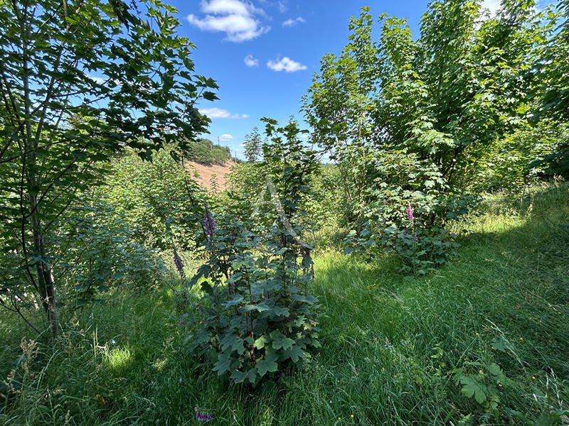 Terrain de loisirs - 2 498 m²