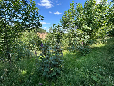 Terrain de loisirs - 2 498 m²