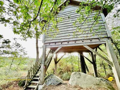 Longère - 347 m² - 14 pièces