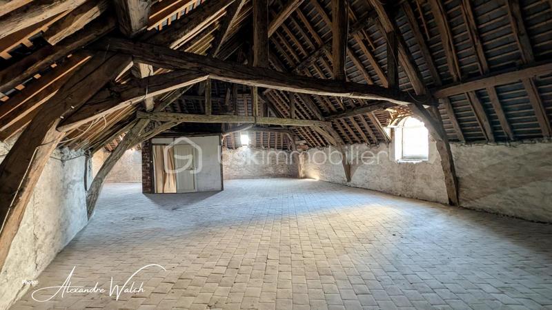 Maison de maîtres - 270 m² - 11 pièces