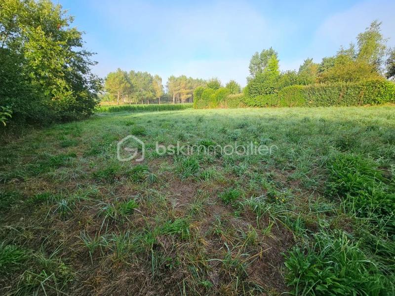 Terrain constructible - 2 120 m²