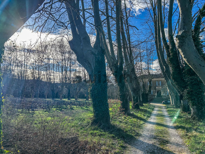 Propriété - 1 000 m² - 30 pièces