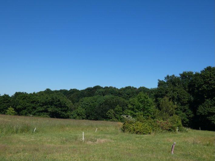 Maison - 218 m² - 6 pièces