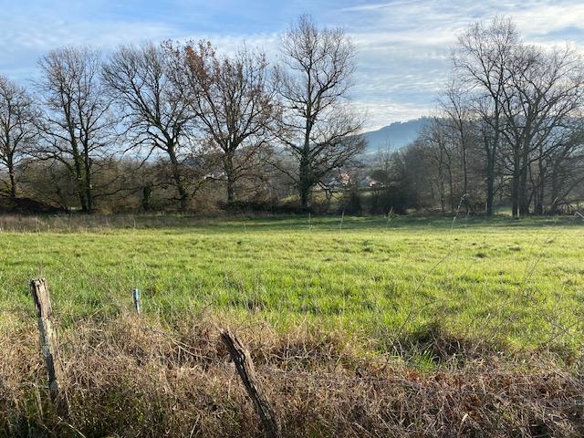 Terrain constructible - 1 250 m²
