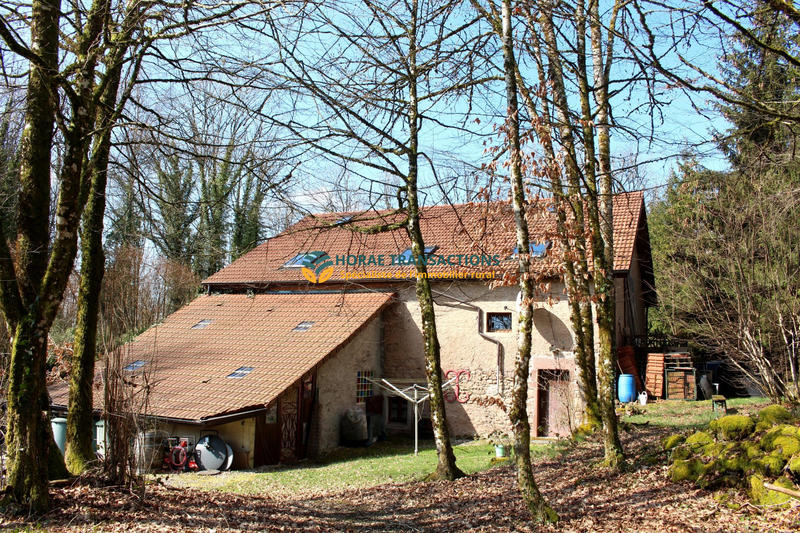 Ferme - 314 m² - 11 pièces
