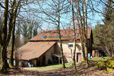 Ferme - 314 m² - 11 pièces