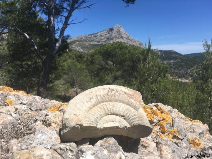 Sur les traces des dinosaures de Sainte-Victoire