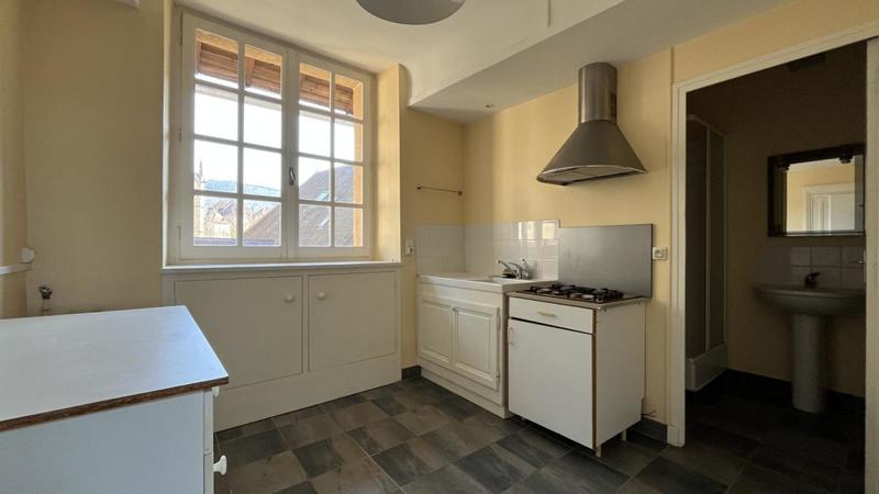 Hôtel particulier - 350 m² - 13 pièces