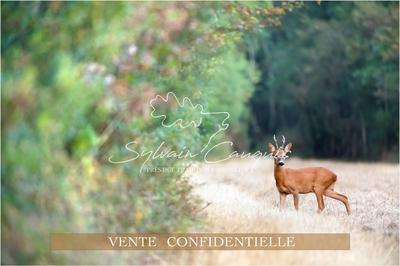 Propriété - 800 m² - 25 pièces