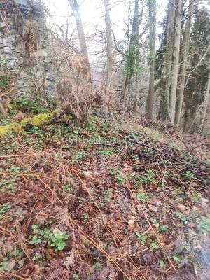 Maison - 60 m² - 1 pièce