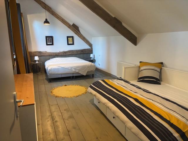 Propriété - 450 m² - 15 pièces