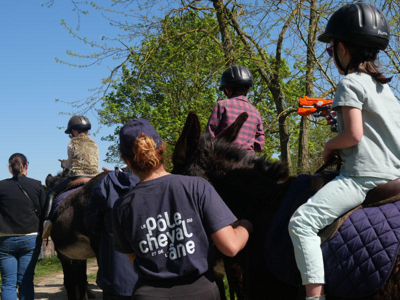 Laser game à dos d'âne