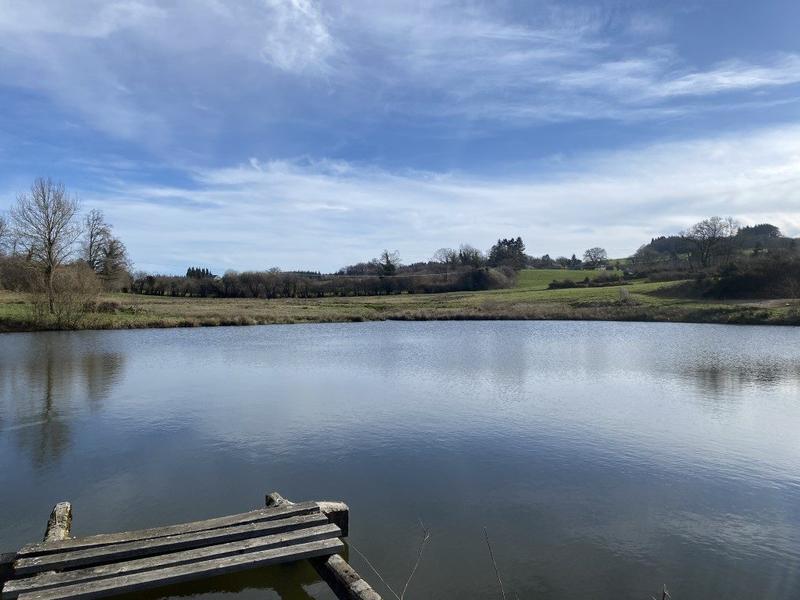 Terrain de loisirs - 29 210 m²