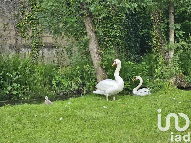 Maison - 149 m² - 7 pièces