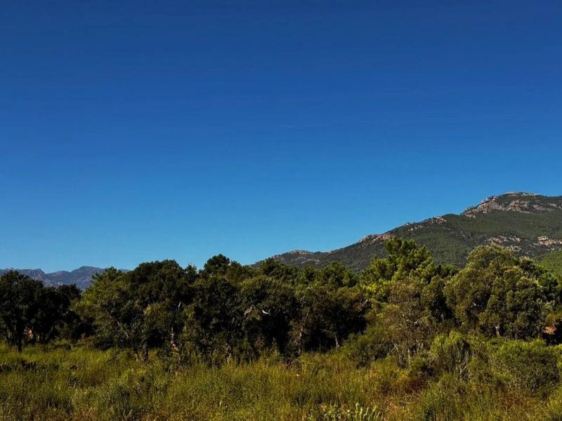 Villa - 175 m² - 5 pièces