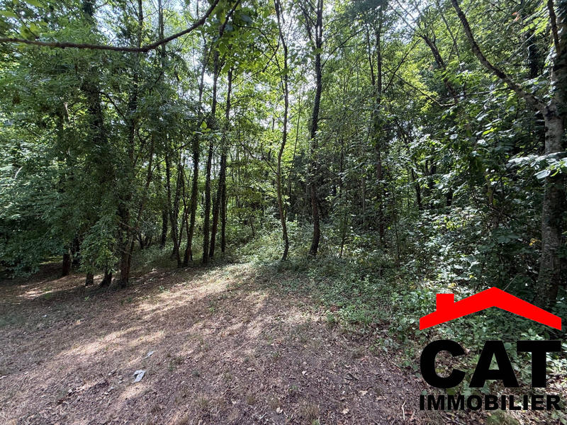 Terrain de loisirs - 3 785 m²