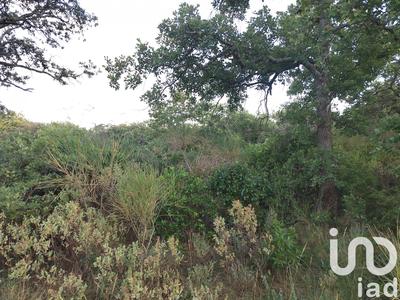 Terrain agricole - 2 100 m²