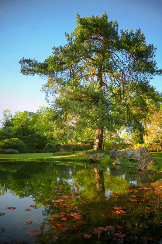 Belles soirées d'été