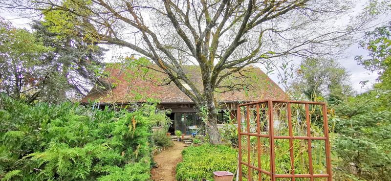 Viager - Maison - 281 m² - 6 pièces