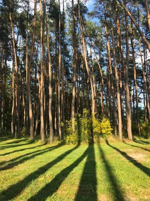 Maison - 154 m² - 6 pièces