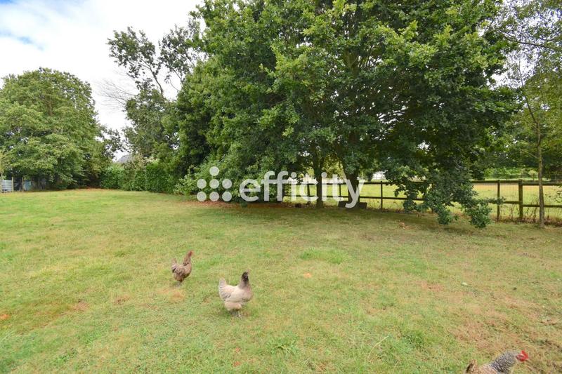 Maison de domaine équestre - 137 m² - 6 pièces