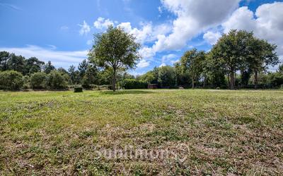 Terrain de loisirs - 1 000 m²