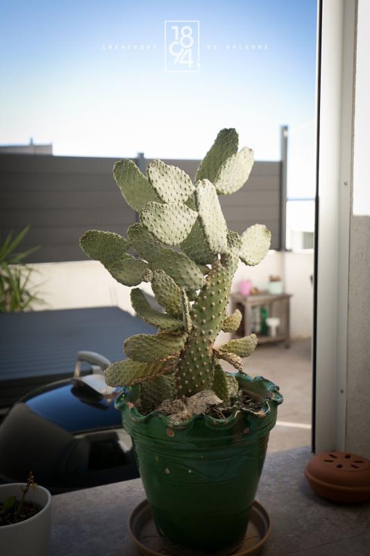 Appartement - 114 m² - 4 pièces