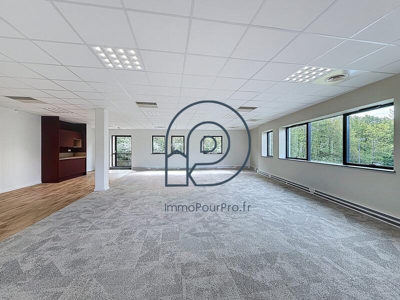 Bureau - 132 m²