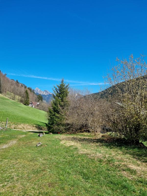 Maison - 170 m² - 5 pièces