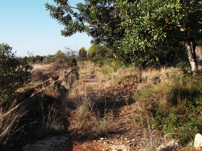 Terrain - 16 000 m²