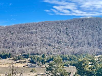 Château - 600 m² - 6 pièces