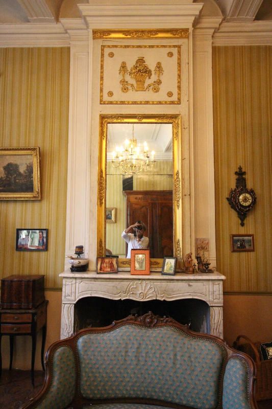 Hôtel particulier - 450 m² - 13 pièces