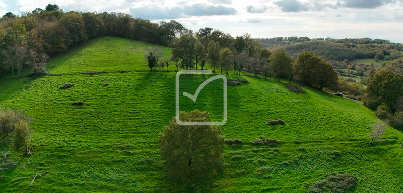 Terrain - 62 315 m²