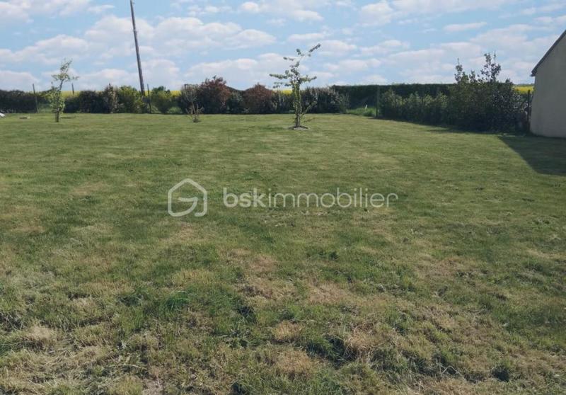 Terrain - 501 m²