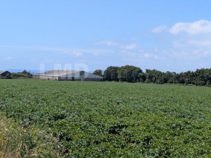 Terrain agricole - 30 080 m²