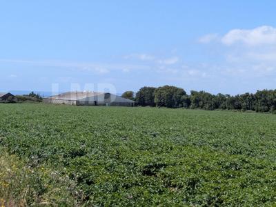 Terrain agricole - 30 080 m²