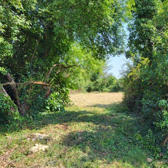 Maison - 175 m² - 6 pièces