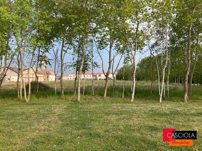 Terrain - 6 031 m²