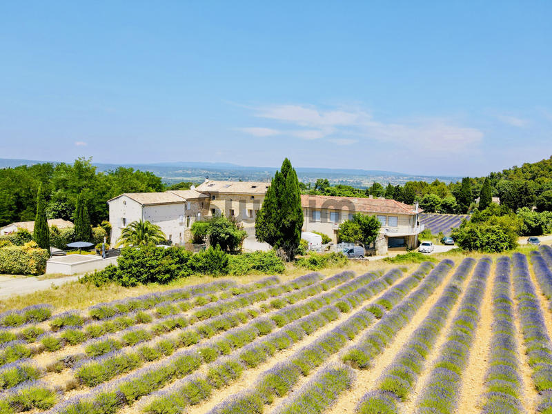 Mas - 589 m² - 40 pièces