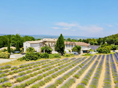 Mas - 589 m² - 40 pièces