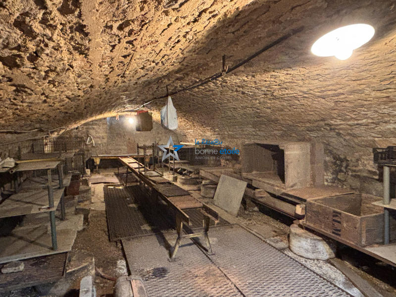 Maison ancienne - 272 m² - 10 pièces