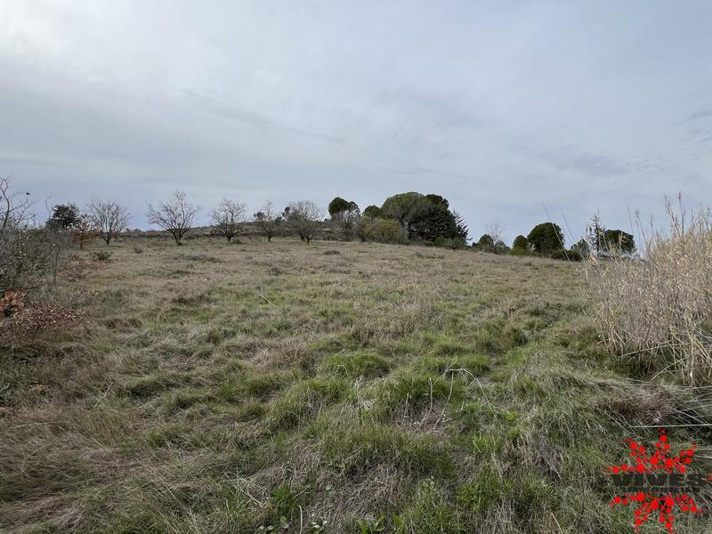 Terrain agricole - 5 915 m²