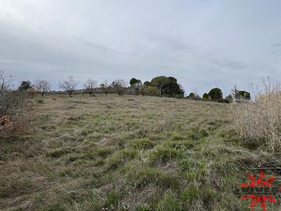 Terrain agricole - 5 915 m²